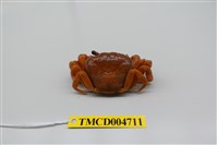 藏品(拉氏清溪蟹)的圖片